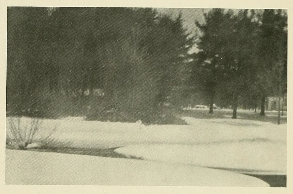 An illustration from Platinum print : journal of personal expression, 1913, leaf 10
