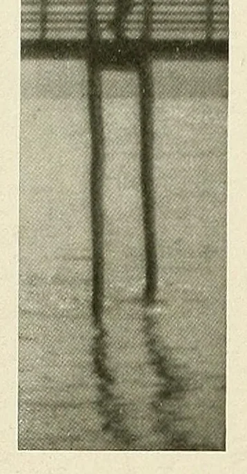 An illustration from Platinum print : journal of personal expression, 1913, leaf 2