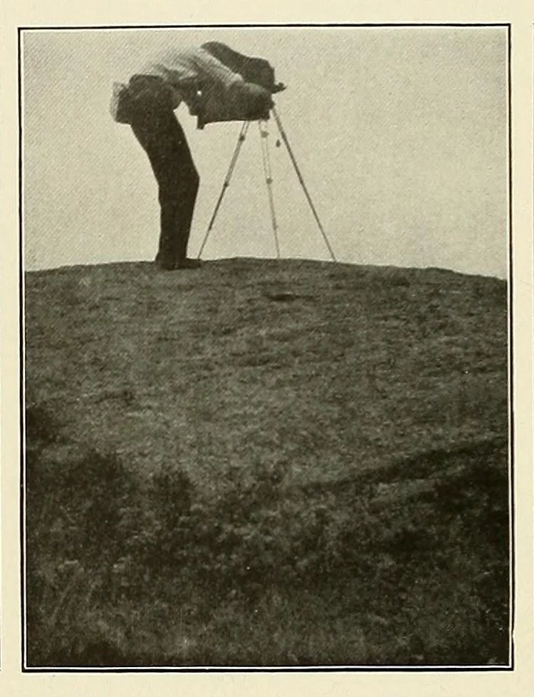 An illustration from Platinum print : journal of personal expression, 1913, leaf 16