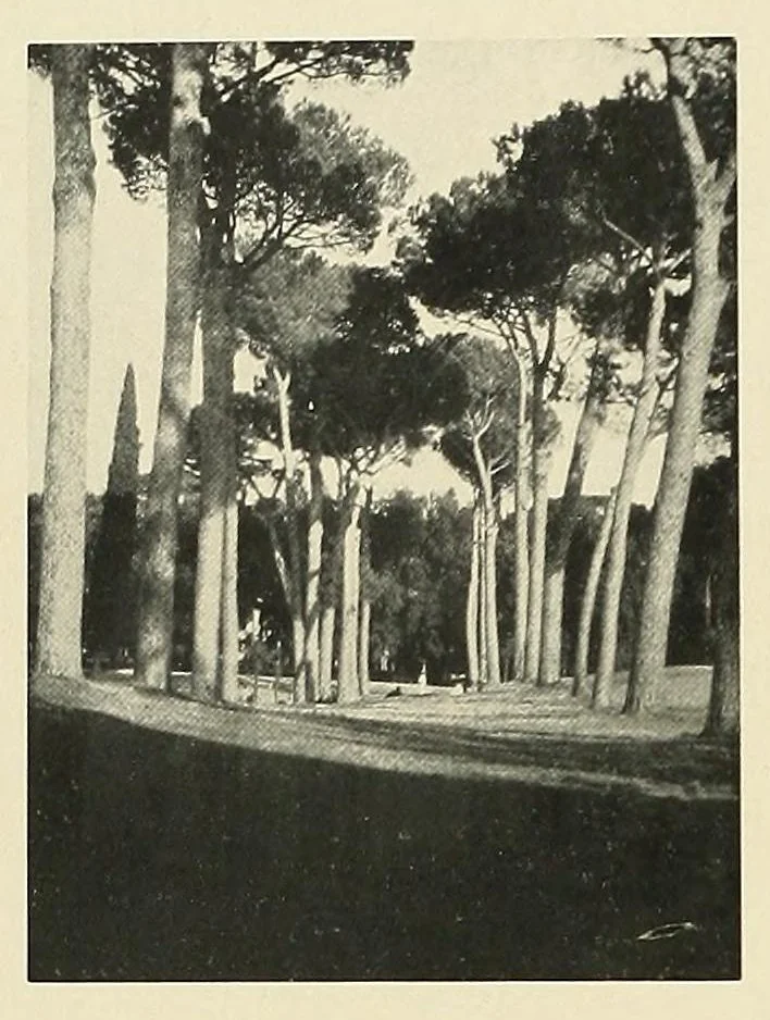 An illustration from Platinum print : journal of personal expression, 1913, leaf 2