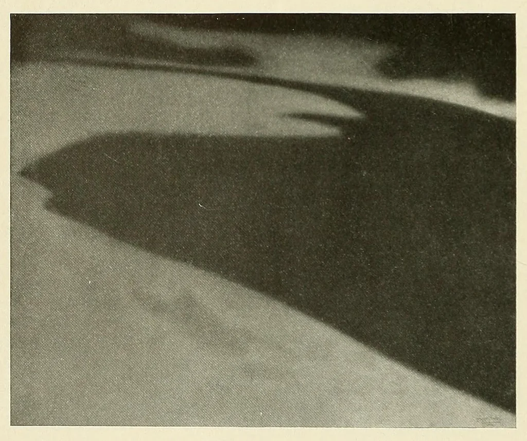An illustration from Platinum print : journal of personal expression, 1913, leaf 6