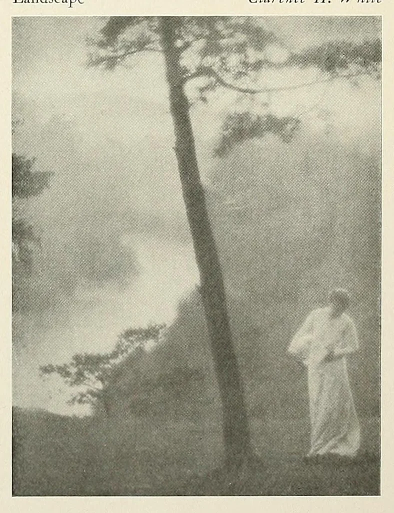 An illustration from Platinum print : journal of personal expression, 1913, leaf 9