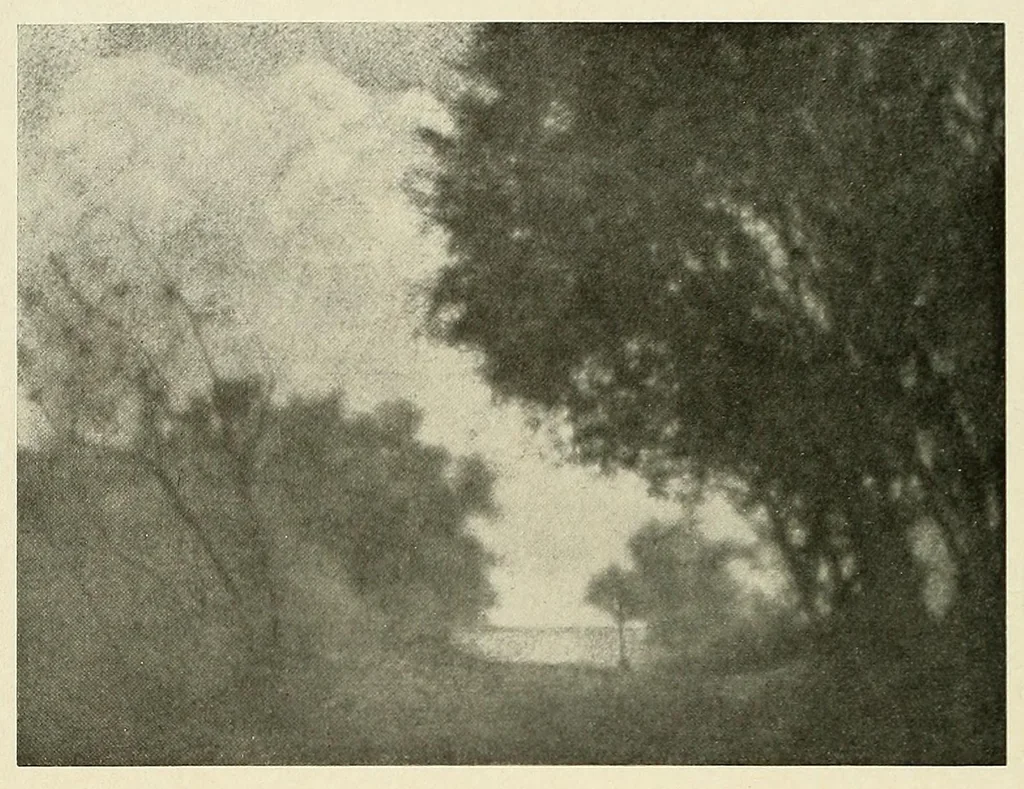 An illustration from Platinum print : journal of personal expression, 1913, leaf 10
