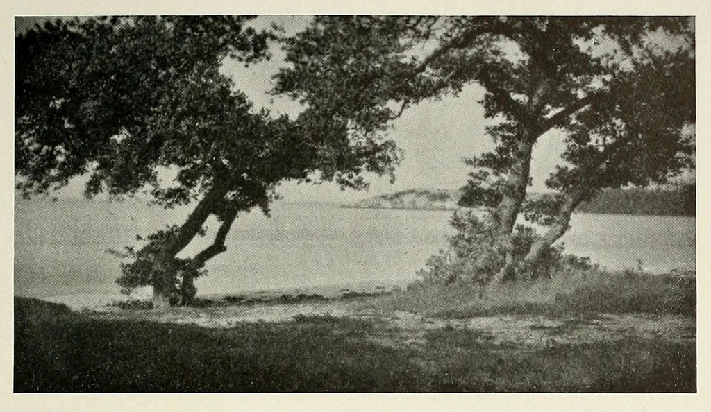 An illustration from Platinum print : journal of personal expression, 1913, leaf 5