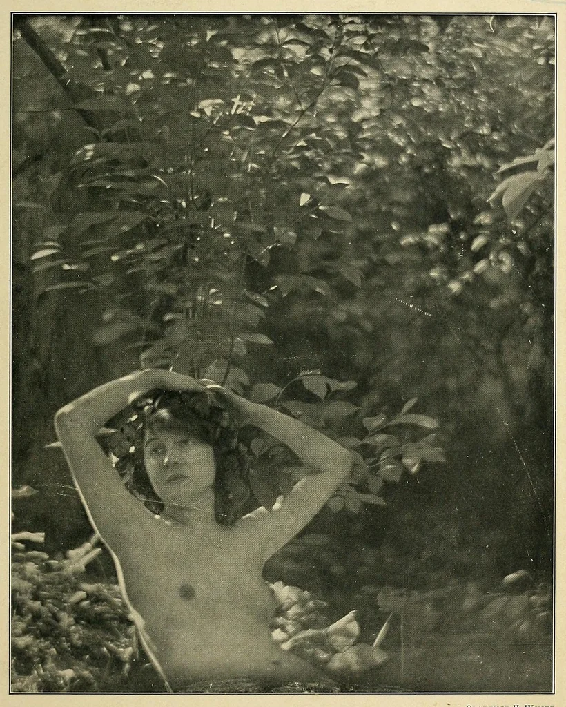 An illustration from Platinum print : journal of personal expression, 1913, leaf 1