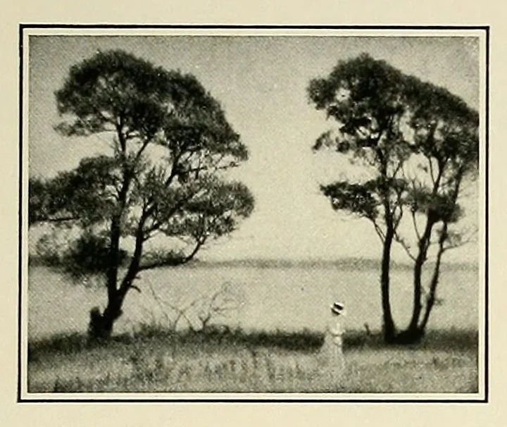 An illustration from Platinum print : journal of personal expression, 1913, leaf 17