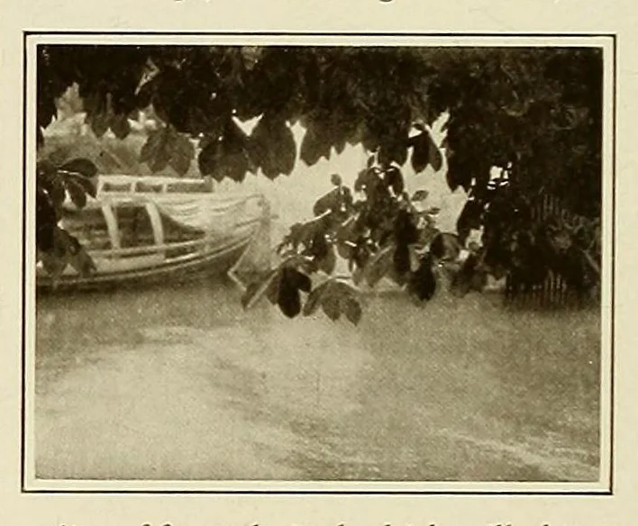 An illustration from Platinum print : journal of personal expression, 1913, leaf 18