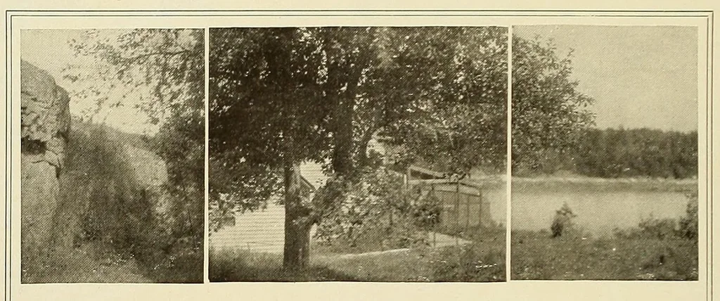 An illustration from Platinum print : journal of personal expression, 1913, leaf 2