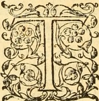 An illustration from Platonis opera quae extant omnia, 1578, leaf 189