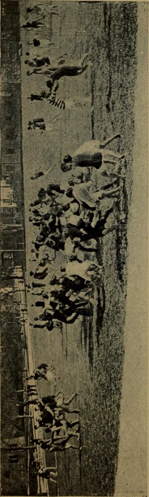 An illustration from Play, comprising games for the kindergarten, playground, schoolroom and college; how to coach and play girls' basket-ball, etc, 1912, leaf 205