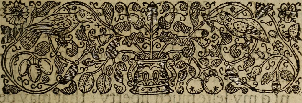 An illustration from Playes, maskes, epigrams, elegies, and epithalamiums : Collected into one volumne [sic]. By Thomas Nabbes, 1639, leaf 246