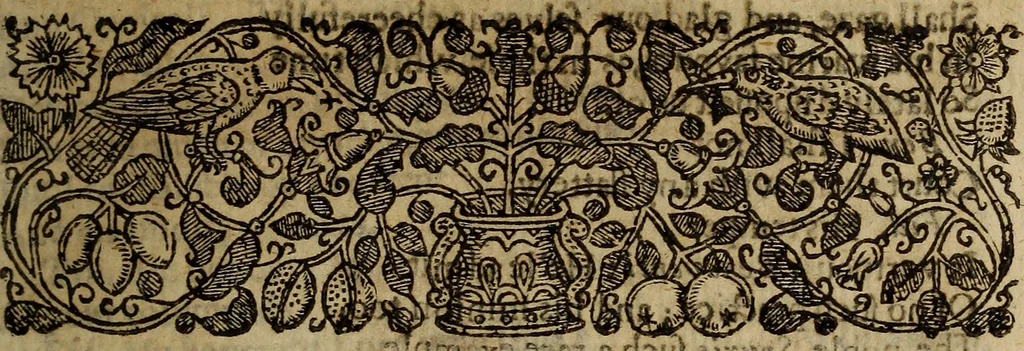 An illustration from Playes, maskes, epigrams, elegies, and epithalamiums : Collected into one volumne [sic]. By Thomas Nabbes, 1639, leaf 252