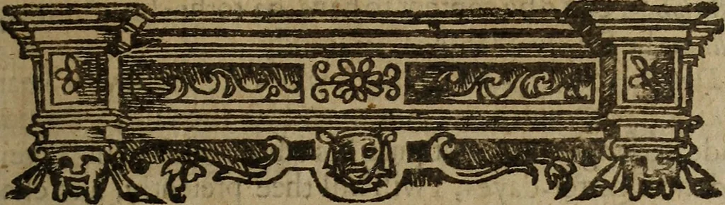 An illustration from Playes, maskes, epigrams, elegies, and epithalamiums : Collected into one volumne [sic]. By Thomas Nabbes, 1639, leaf 316