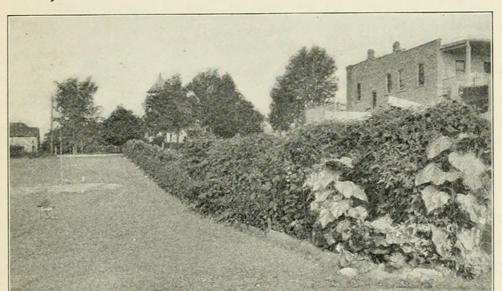 An illustration from Play and recreation for the open country, 1914, leaf 59