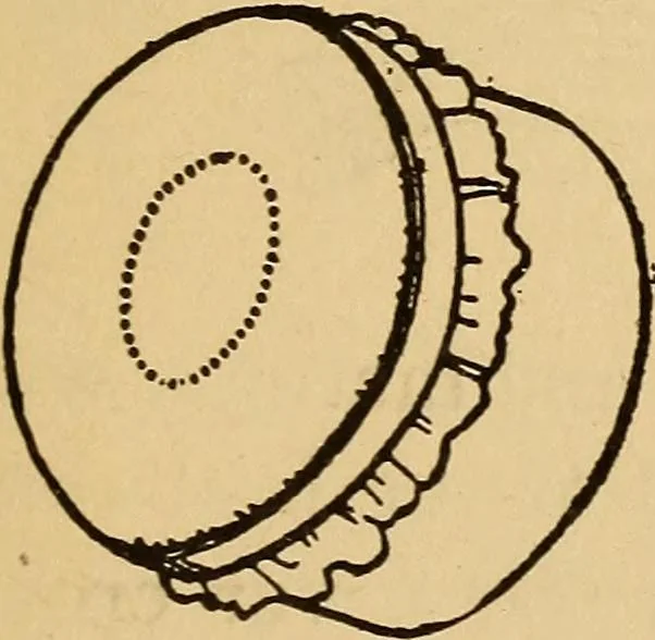 An illustration from The playwork book, 1918, leaf 120