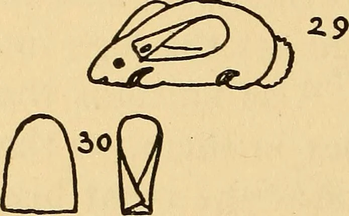 An illustration from The playwork book, 1918, leaf 63