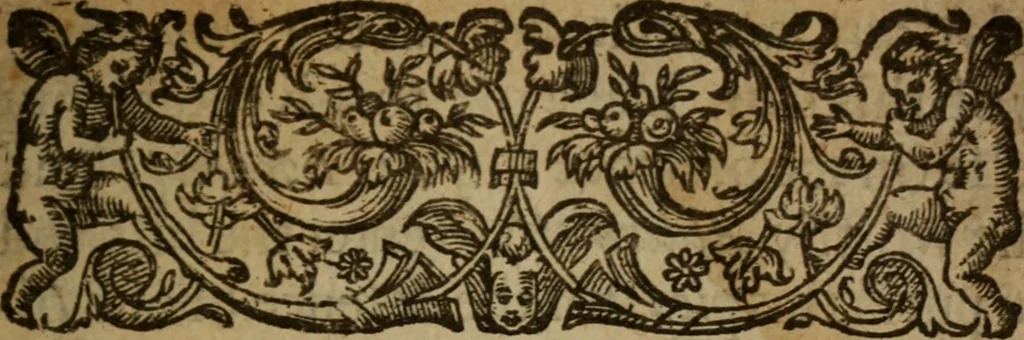 An illustration from A plea for the Commonalty of London : or a vindication of their rights .., 1645, leaf 10