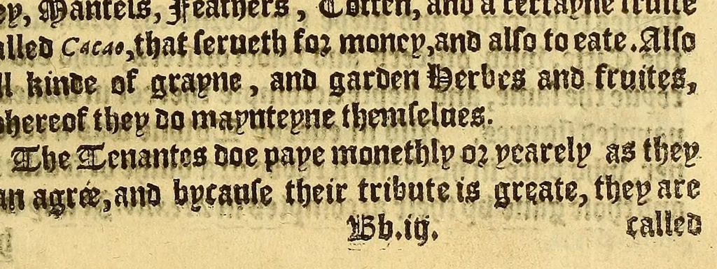 An illustration from The pleasant historie of the conquest of the VVeast India, now called New Spayne, atchieued by the vvorthy prince Hernando Cortes ..., 1578, leaf 205