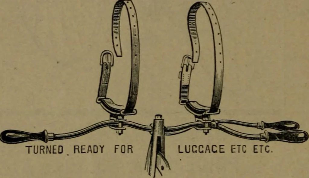 An illustration from The pleasures, objects, and advantages of cycling : with numerous illustrations, 1887, leaf 11