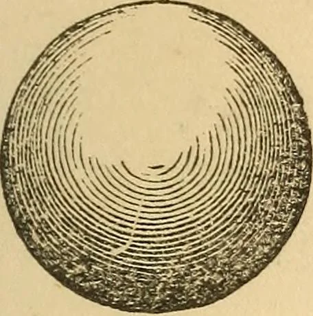 An illustration from Pocket-book of mechanics and engineering, 1864, leaf 108