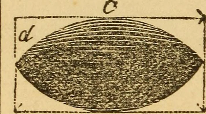 An illustration from Pocket-book of mechanics and engineering, 1864, leaf 111