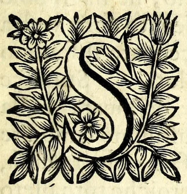 An illustration from Poesie liriche di Marc-Antonio Romagnesi : diuise in quattro parti, 1673, leaf 7
