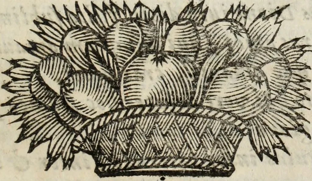 An illustration from Poesies, en Latin et en François, 1653, leaf 284