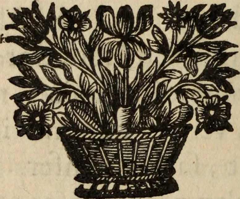 An illustration from Poesies, en Latin et en François, 1653, leaf 31