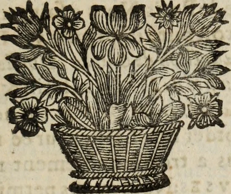 An illustration from Poesies, en Latin et en François, 1653, leaf 40