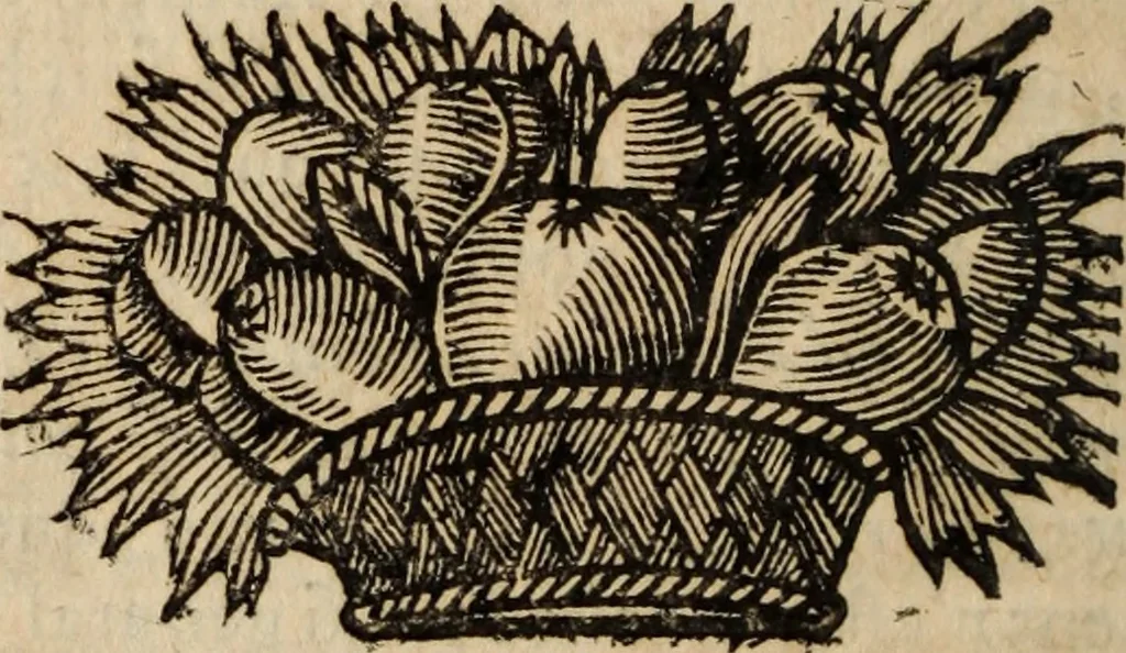An illustration from Poesies, en Latin et en François, 1653, leaf 433
