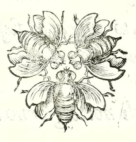 An illustration from Poesie toscane, 1637, leaf 101