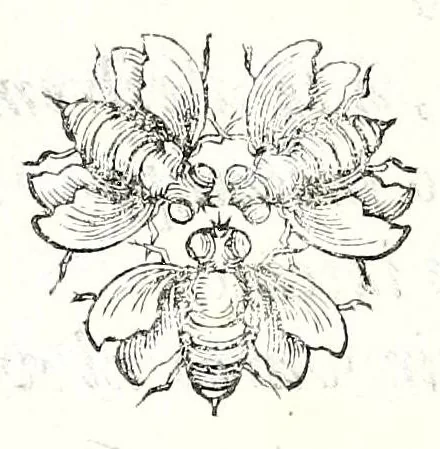 An illustration from Poesie toscane, 1637, leaf 104