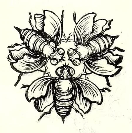 An illustration from Poesie toscane, 1637, leaf 113