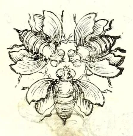 An illustration from Poesie toscane, 1637, leaf 125