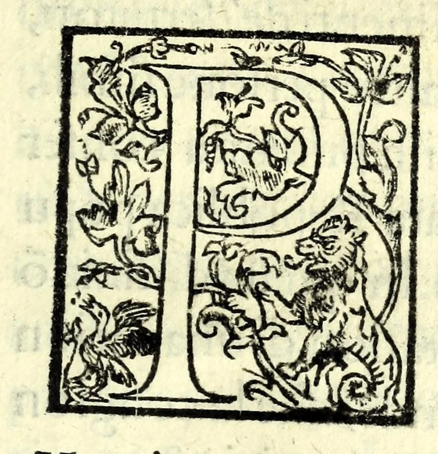 An illustration from Poetica di Iason Denores : nella qual per via di definitione & diuisione si tratta secondo l'opinion d'Artist[otle] della tragedia, del poema heroico, & della comedia, 1588, leaf 249