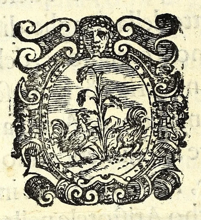 An illustration from Poetica di Iason Denores : nella qual per via di definitione & diuisione si tratta secondo l'opinion d'Artist[otle] della tragedia, del poema heroico, & della comedia, 1588, leaf 328