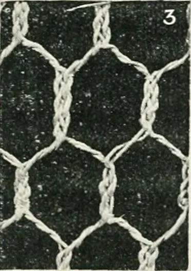 An illustration from Point and pillow lace : a short account of various kinds ancient and modern, and how to recognize them, 1899, leaf 28