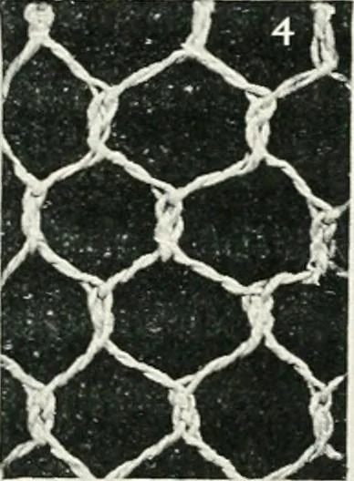 An illustration from Point and pillow lace : a short account of various kinds ancient and modern, and how to recognize them, 1899, leaf 28