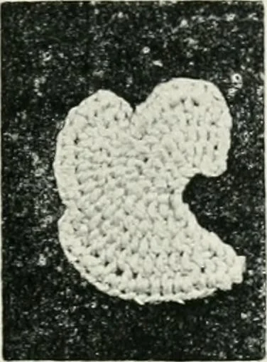 An illustration from Point and pillow lace : a short account of various kinds ancient and modern, and how to recognize them, 1899, leaf 24