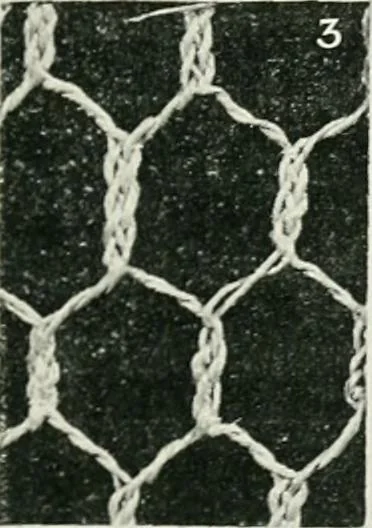 An illustration from Point and pillow lace : a short account of various kinds ancient and modern, and how to recognize them, 1899, leaf 28