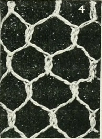 An illustration from Point and pillow lace : a short account of various kinds ancient and modern, and how to recognize them, 1899, leaf 28