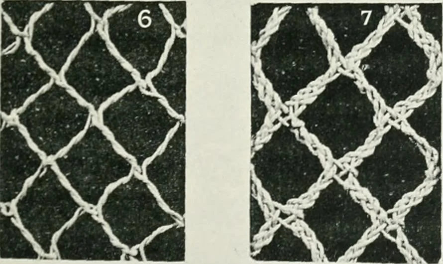 An illustration from Point and pillow lace : a short account of various kinds ancient and modern, and how to recognize them, 1899, leaf 28