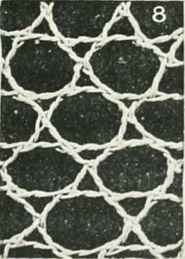 An illustration from Point and pillow lace : a short account of various kinds ancient and modern, and how to recognize them, 1899, leaf 28