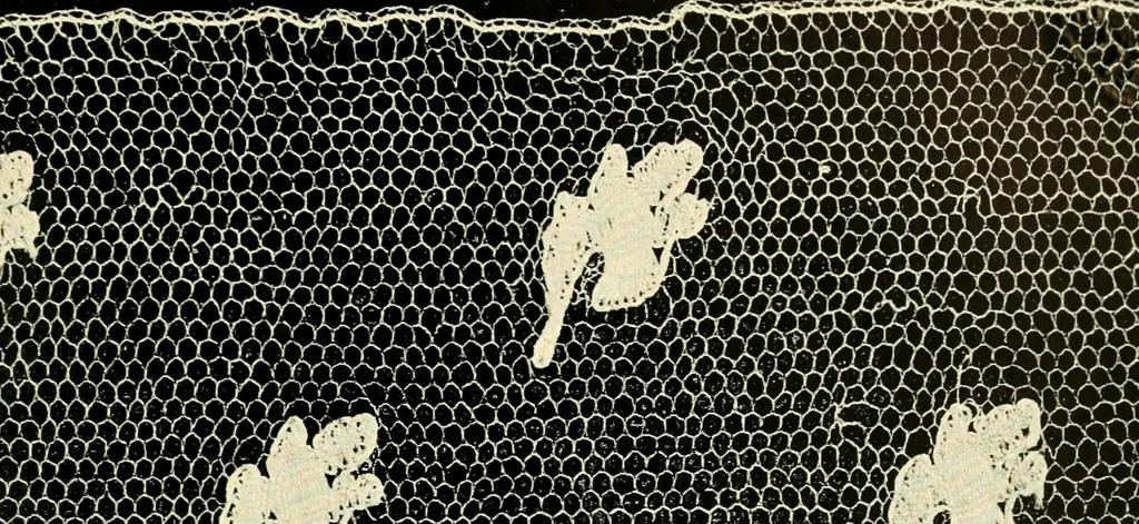 An illustration from Point and pillow lace; a short account of various kinds, ancient and modern, and how to recognise them, 1905, leaf 150