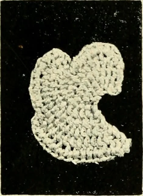An illustration from Point and pillow lace; a short account of various kinds, ancient and modern, and how to recognise them, 1905, leaf 26