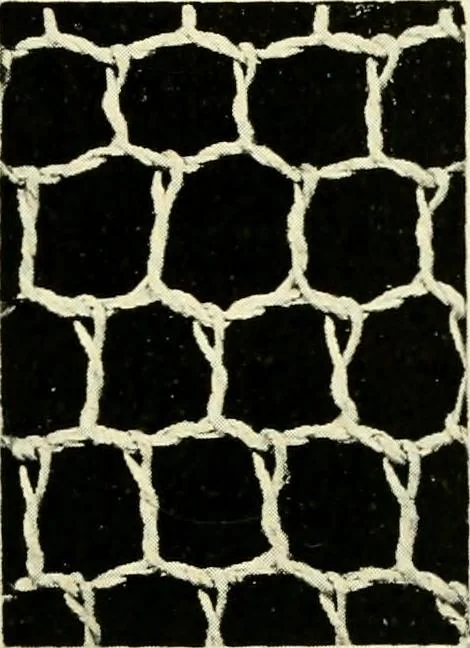 An illustration from Point and pillow lace; a short account of various kinds, ancient and modern, and how to recognise them, 1905, leaf 26