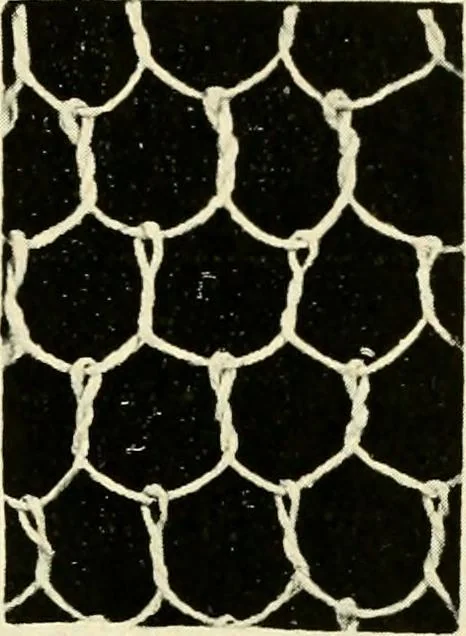 An illustration from Point and pillow lace; a short account of various kinds, ancient and modern, and how to recognise them, 1905, leaf 26