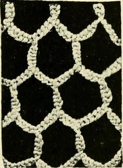 An illustration from Point and pillow lace; a short account of various kinds, ancient and modern, and how to recognise them, 1905, leaf 26