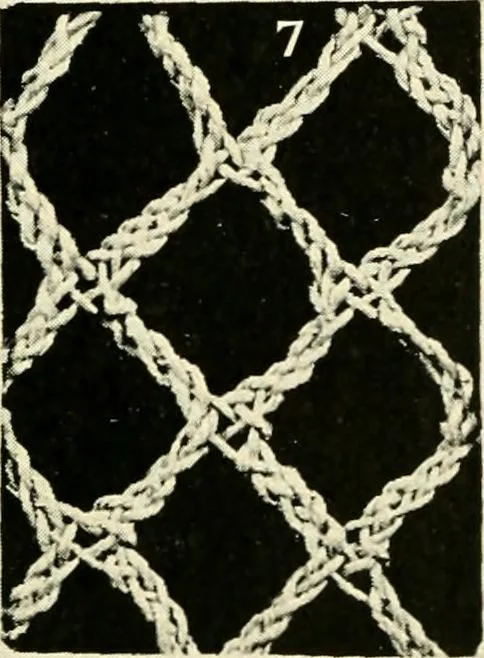 An illustration from Point and pillow lace; a short account of various kinds, ancient and modern, and how to recognise them, 1905, leaf 30