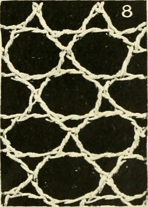 An illustration from Point and pillow lace; a short account of various kinds, ancient and modern, and how to recognise them, 1905, leaf 30